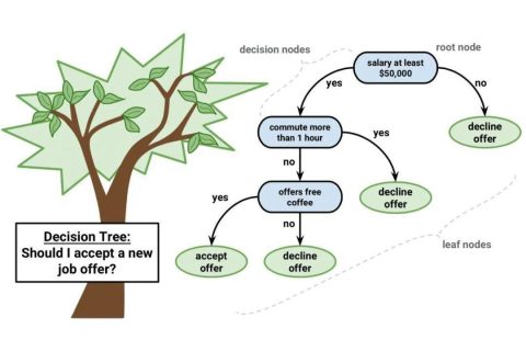 机器学习的十大经典算法与案例实现