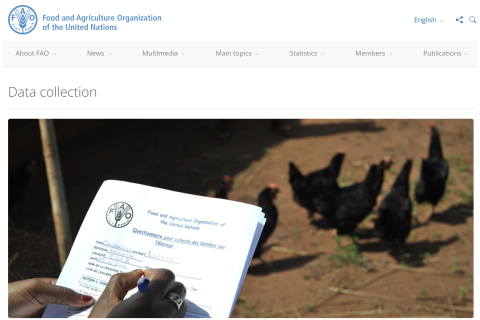 🌾 发现粮食世界的奥秘 🌍 -论文数据来源之FAO Organizational