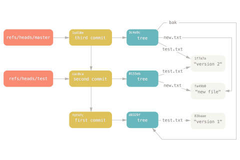 Git 的分支管理-Git使用指南