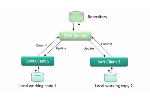适合初创公司的免费开源svn服务器工具有哪些？