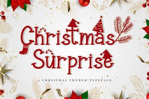 儿童英语故事-圣诞惊喜（A Christmas Surprise）