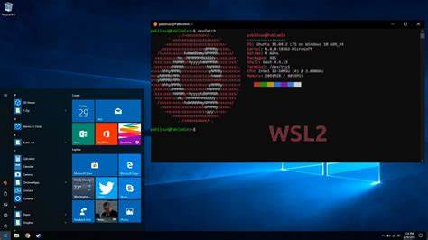 WSL2（Windows Subsystem for Linux 2）与传统的 Linux 系统的分析和比较