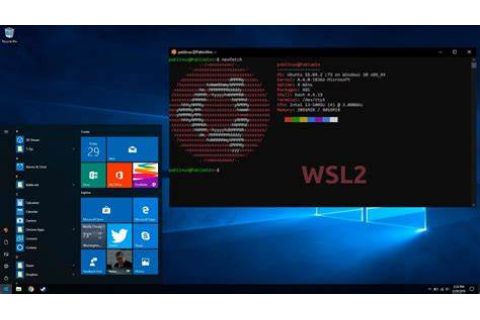 WSL2（Windows Subsystem for Linux 2）与传统的 Linux 系统的分析和比较