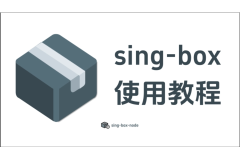 📱 iOS 端 Sing-Box 使用指南｜强大又灵活的网络代理工具 🚀
